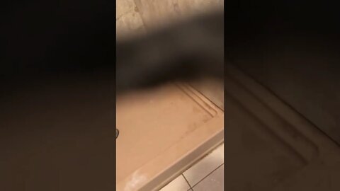 relapse after 53 days