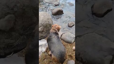 Your going to fall in