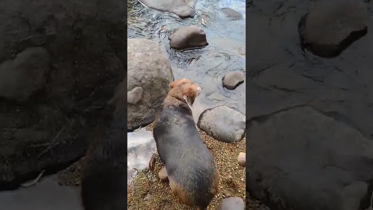 Your going to fall in