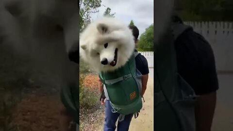 Fluff