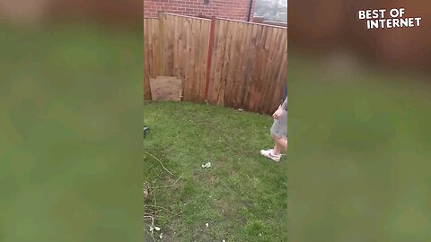 Amazing Vids