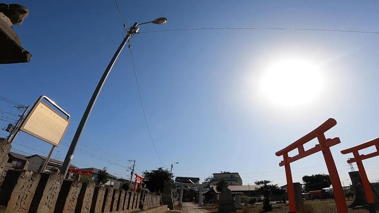 Ordinary Morning in Japan vlog From Ordinary Roadside Stroll to Shrine Worship