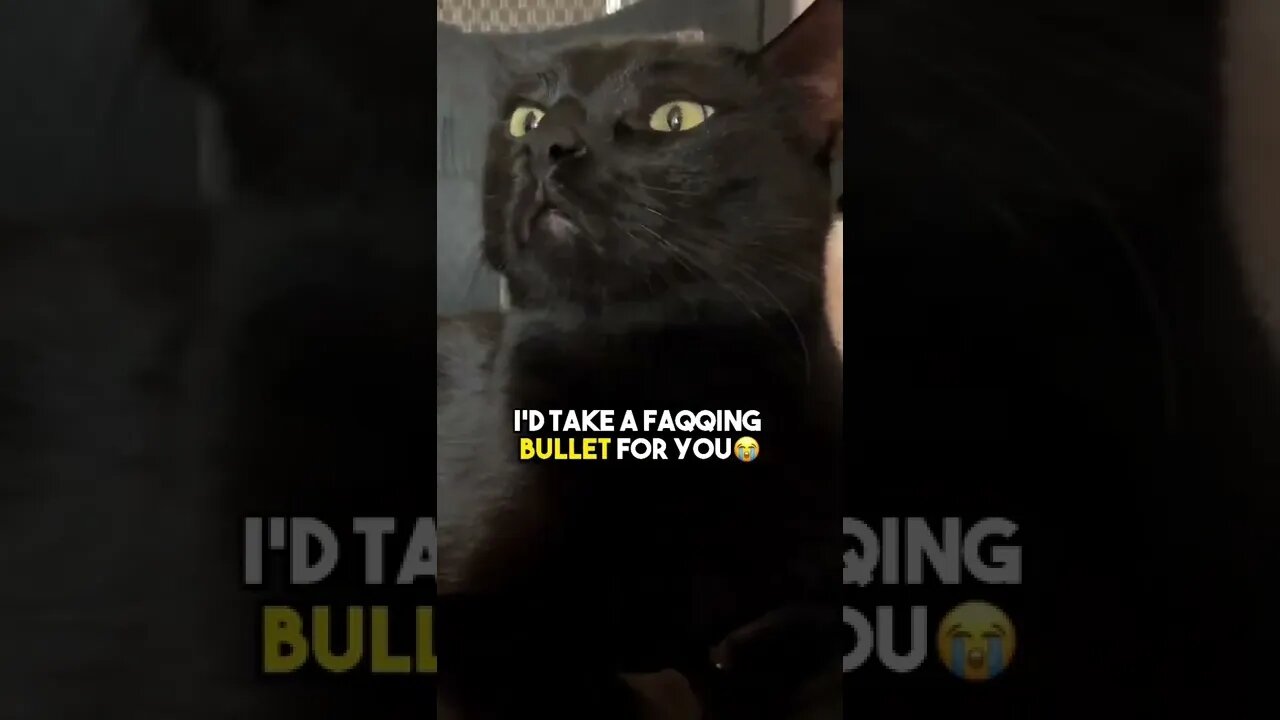 Your bestie needs to hear this❤️ #cat #blackcat #leonthecatdad #relationship #relateable #motivation