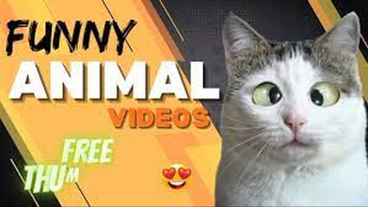 Hilarious Hounds and Comical Cats: The Ultimate Funny Animals Compilation!