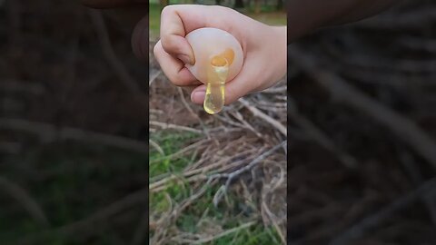 Found A Squishy Egg 🥚 🤨 #hen #animal