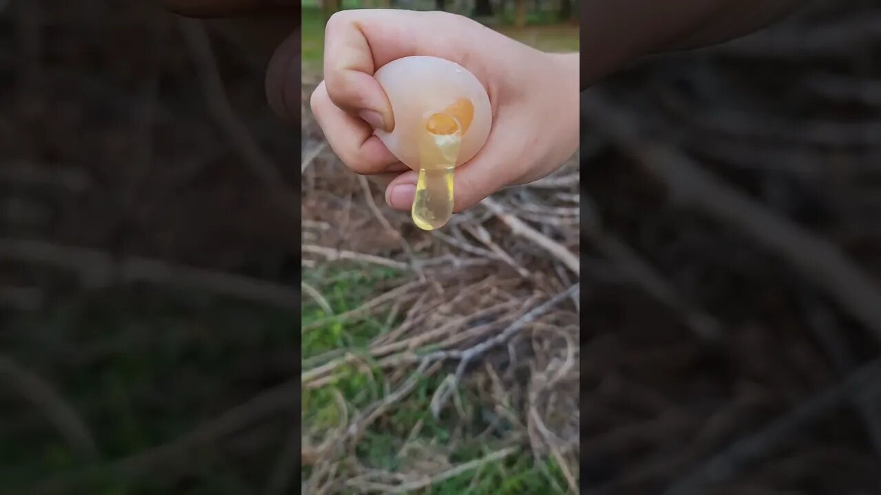 Found A Squishy Egg 🥚 🤨 #hen #animal