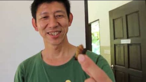 말레이시아에서만 볼 수 있는 구더기 요리!