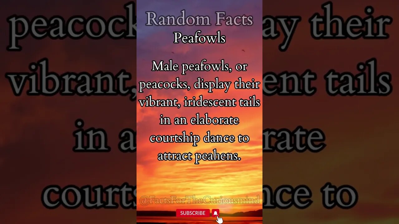 Incredible Random Facts That Will Expand Your Mind! [2023] #shorts #facts #viralshorts #fyp #life