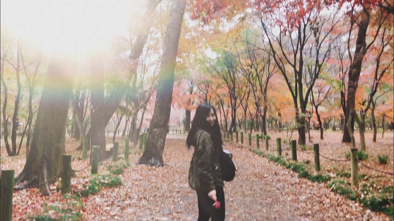 Autumn leaf viewing in Japan