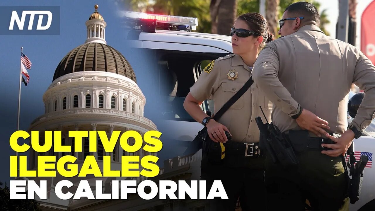 Narcofornia: los cultivos ilegales ocultos de California