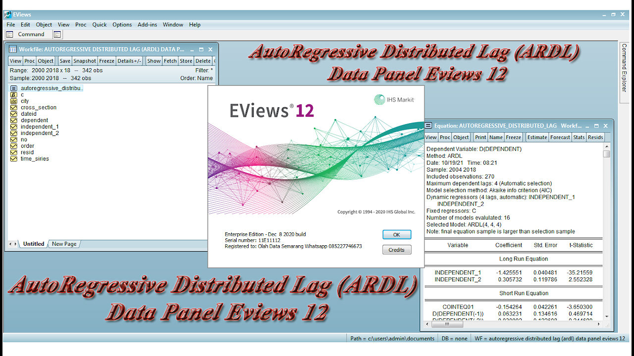 AutoRegressive Distributed Lag (ARDL) Data Panel Eviews 12