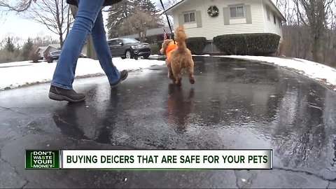 Buying deicers that are safe for your pets