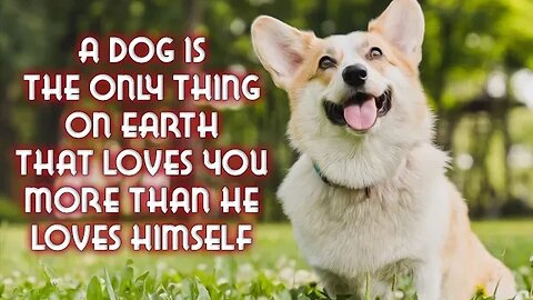 Animal Lover Sayings And Quotes Collection Of Inspirational " Part 01 "