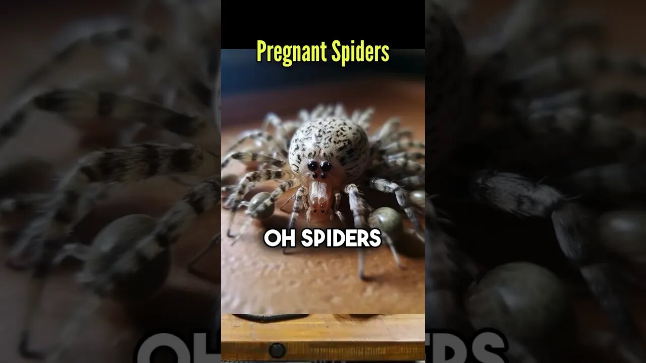 Laughter or Terror? Stomping a Mama Spider