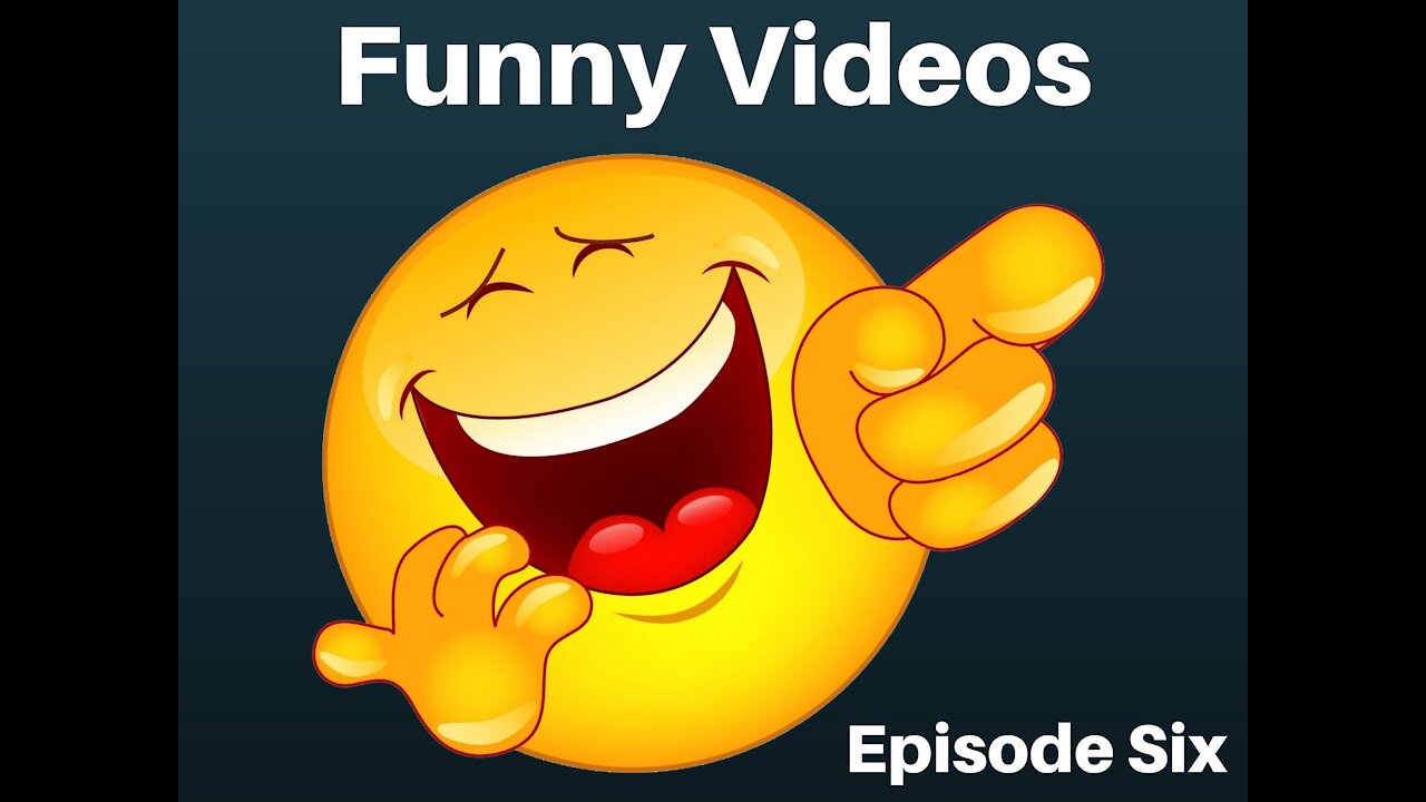 funny videos