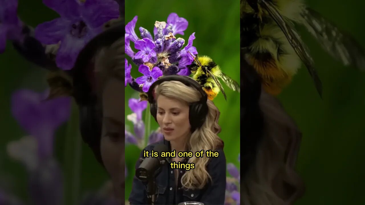 How important bees are to the ecosystem - Erika Thompson & Joe Rogan