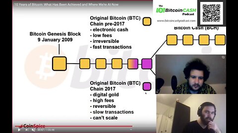 The Bitcoin Cash Podcast #3 - Elon Musk hypes Bitcoin & Crypto Convert Q&A