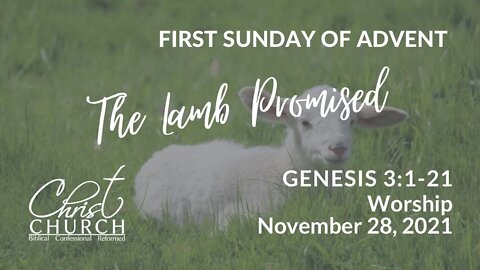 Christ Church OPC - Flower Mound, Texas - November 28, 2021 - Genesis 3:1-21