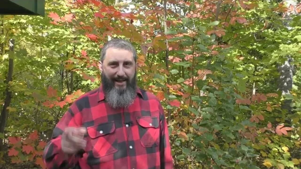 Is It Possible To Defeat Lust Without Getting Married?