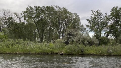 Wind blowing on the South Platte