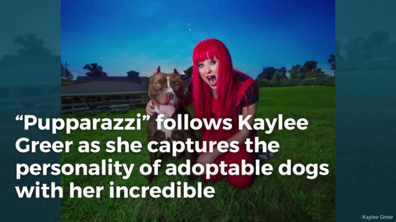 New Show ‘Pupparazzi’ Turns Shelter Dogs into Stars in Hopes of Finding Them Forever Homes