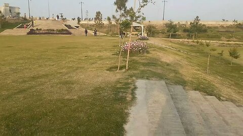 White & purple flowers in green field
