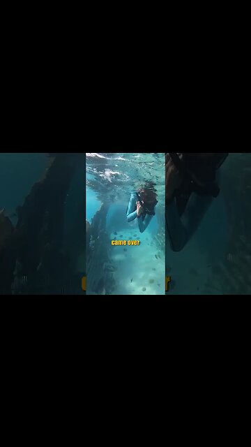 Pablo Escobar's Crashed plane in the Bahamas