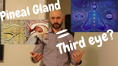 What is the pineal gland?