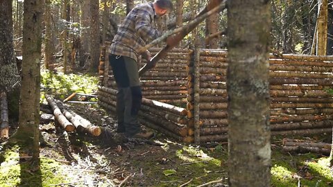 10+The jungle builds a survival cabin