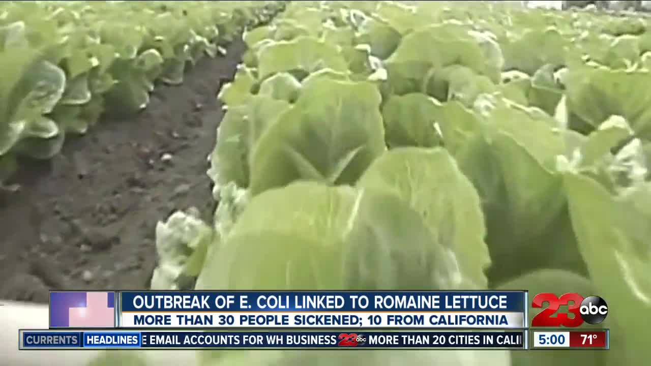 CDC issues warning of E Coli romaine lettuce outbreak