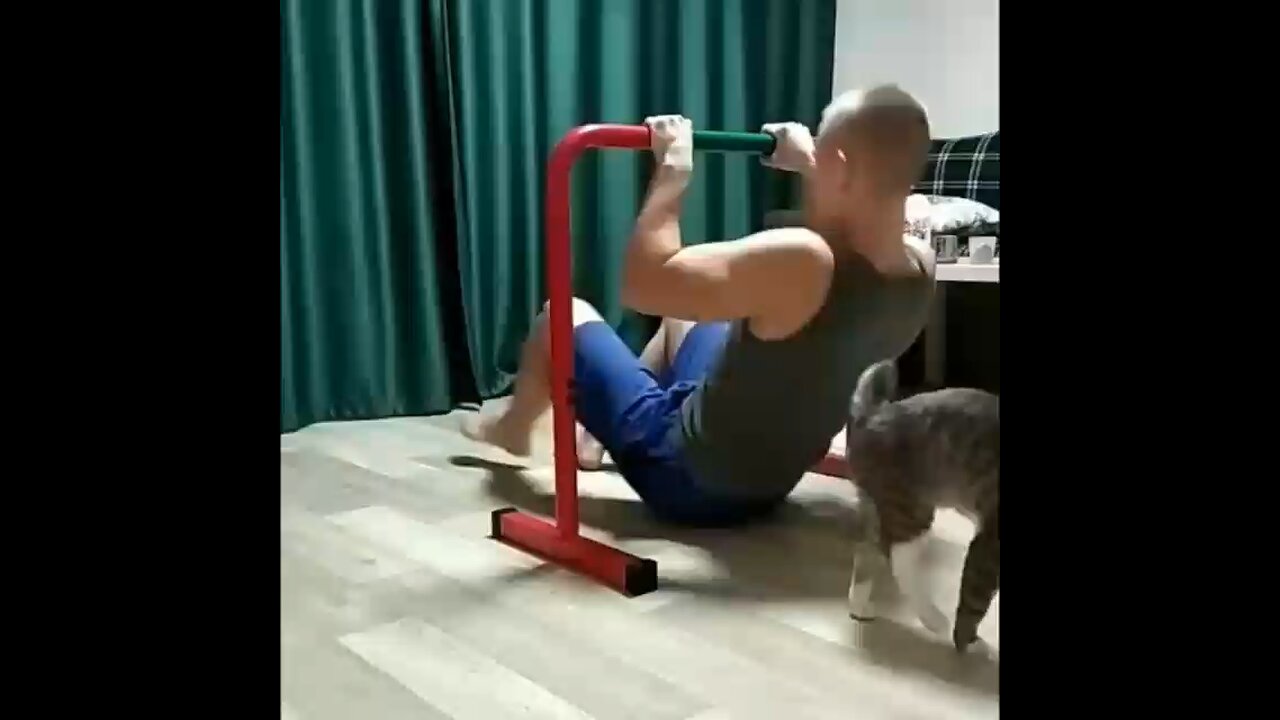 Hi