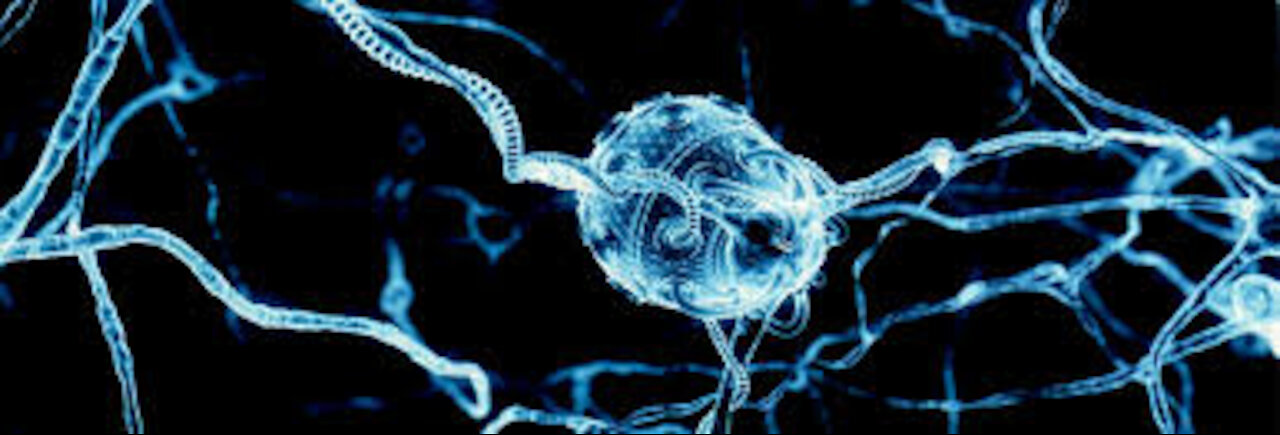 REMOVING NANO POSIONING FROM THE BODY (THE WAR ON NANOTECH)