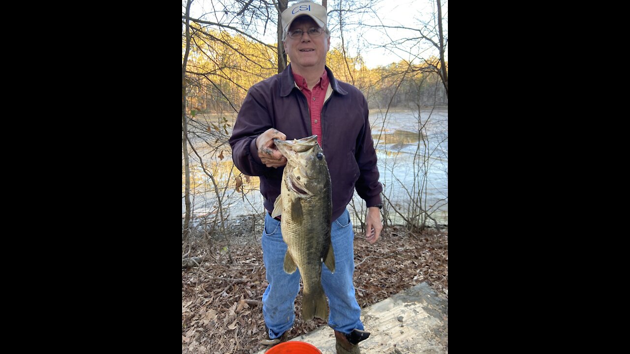 Fish rescued from muddy remains of a pond has unexpected reaction