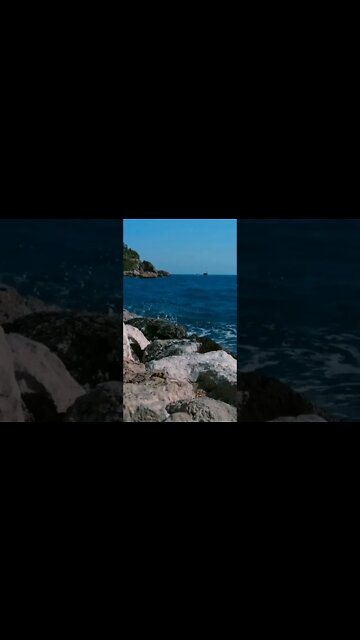 royalty free stock video