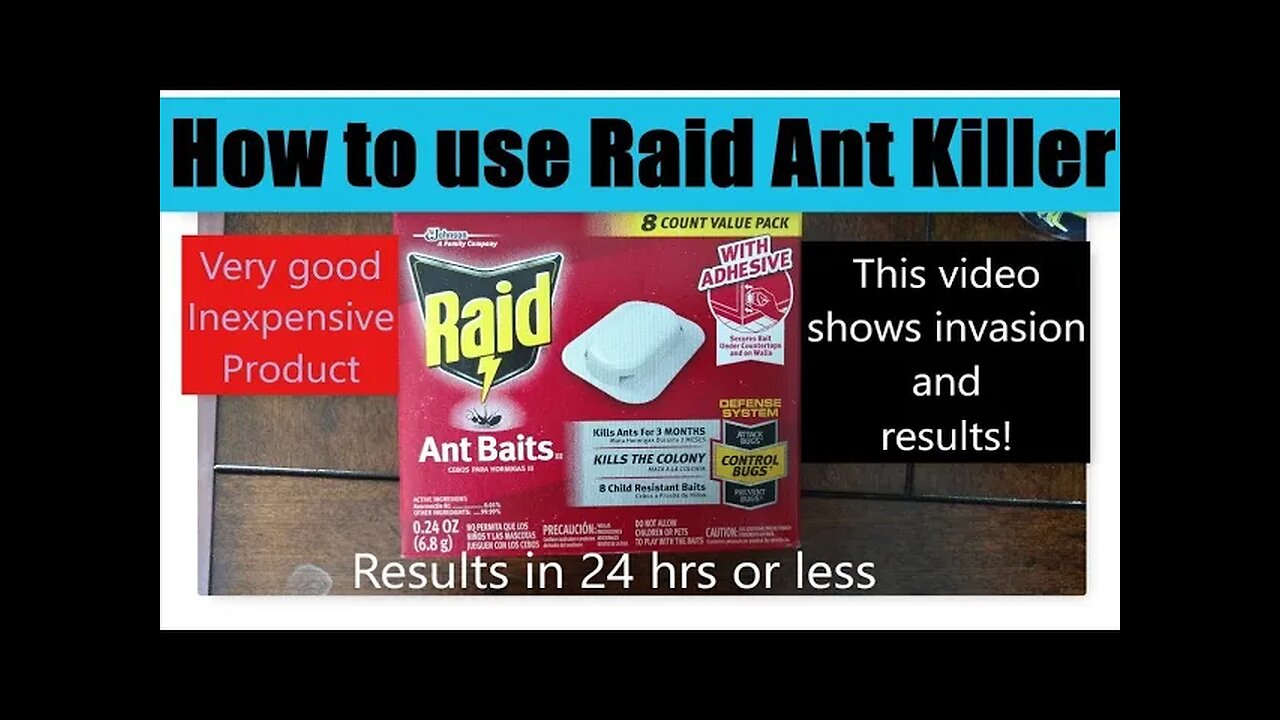 Raid Ant Killer Review