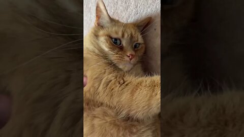 Unbothered King 👑