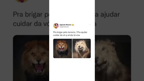 😂😂