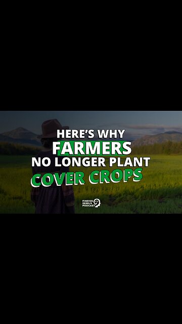 Here’s Why Farmers No Longer Plant Cover Crops