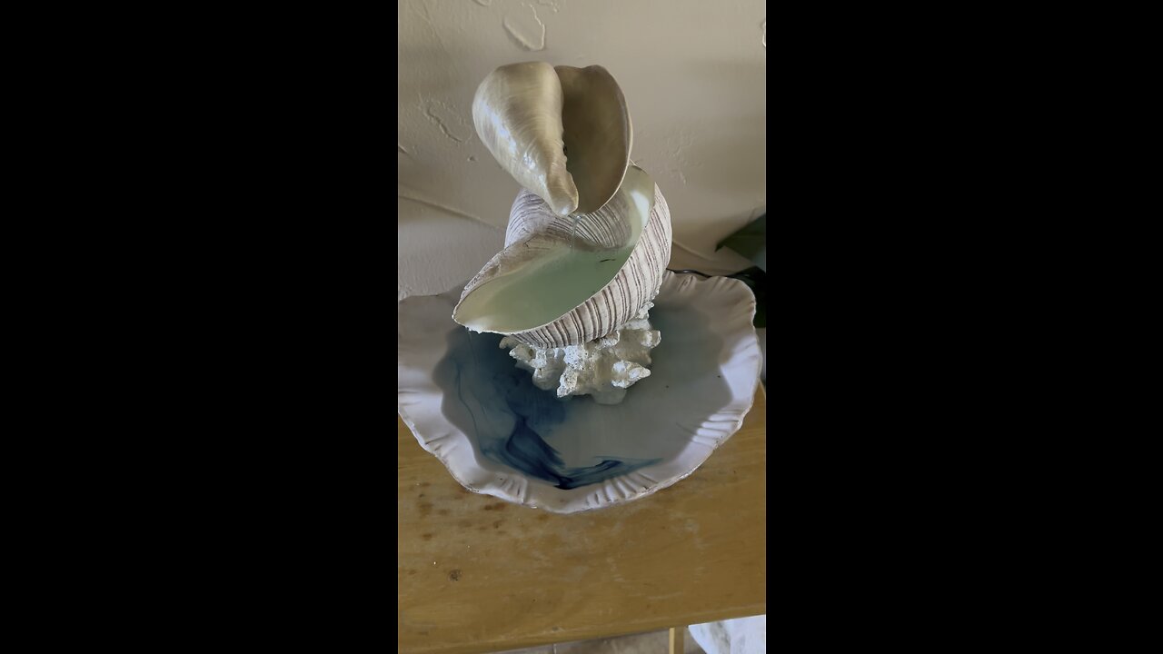 Fountain Blue #FYP #Fountain #ASMR #Seashell #mywalksinparadise #4K