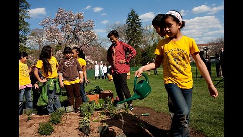 School gardens for food security in Jamaica