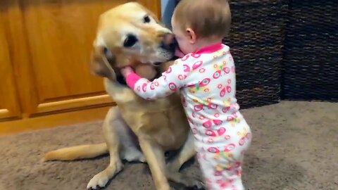 Cute Baby Playing with a Cute Dog