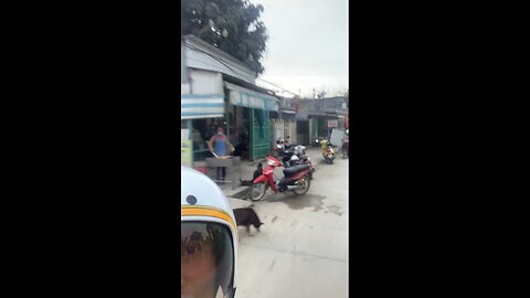 Cruising On A Moped