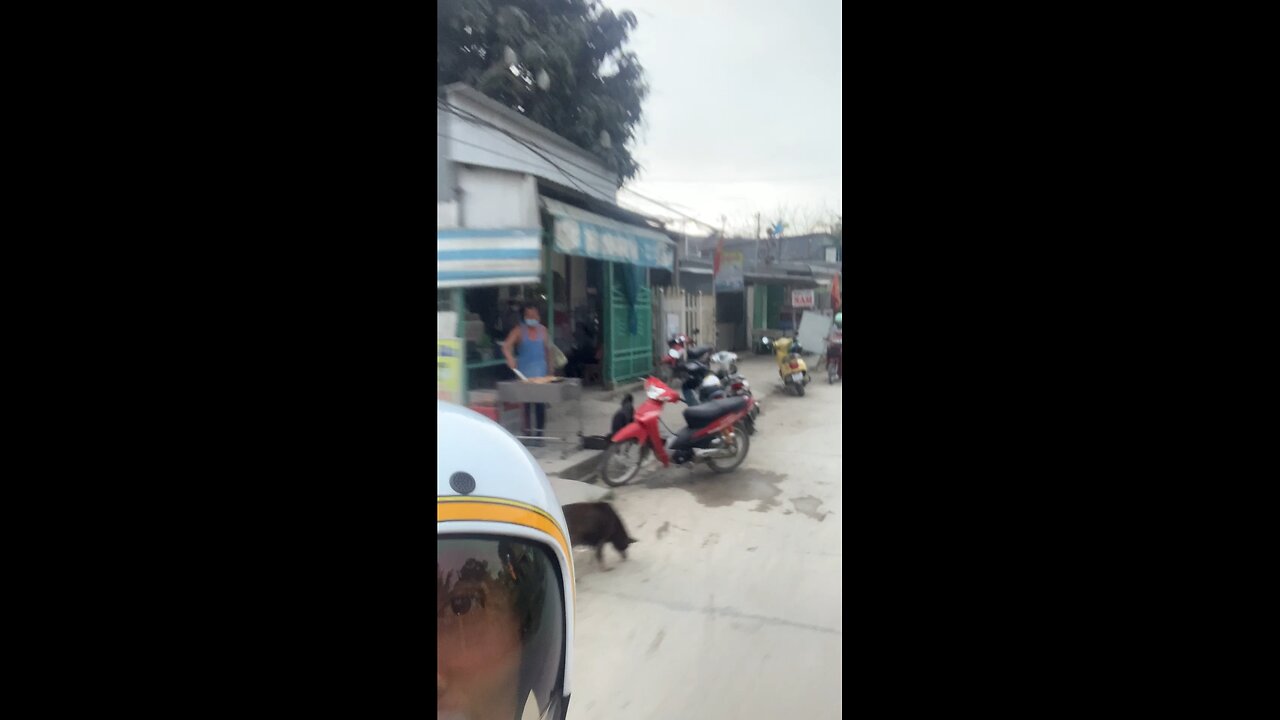 Cruising On A Moped