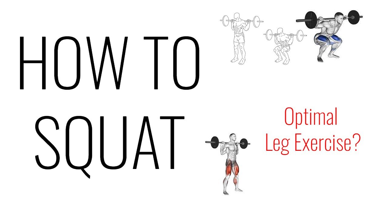 How To Properly Do A Squat