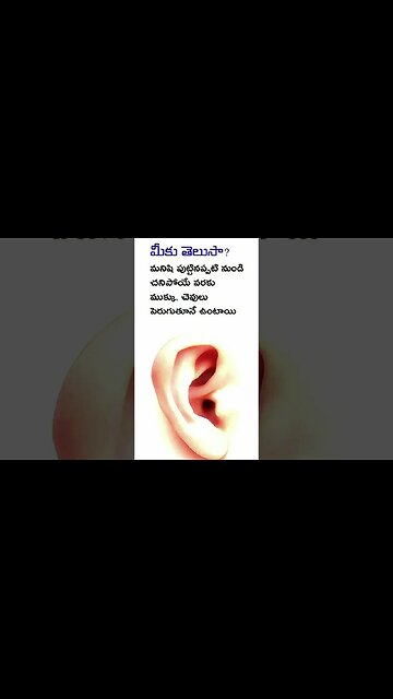 health #health #healthiness #food #healthylifestyle #healthyfood #healthcare