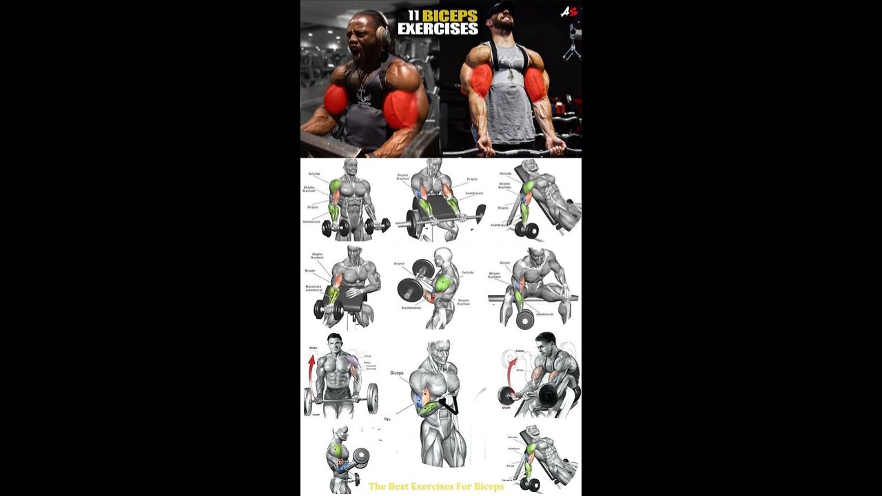 Bicep tricep workout