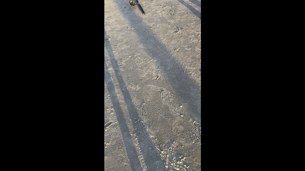 Dude Caught a Stingray 🎣 #NorthCarolina #beach #fishing #stingray