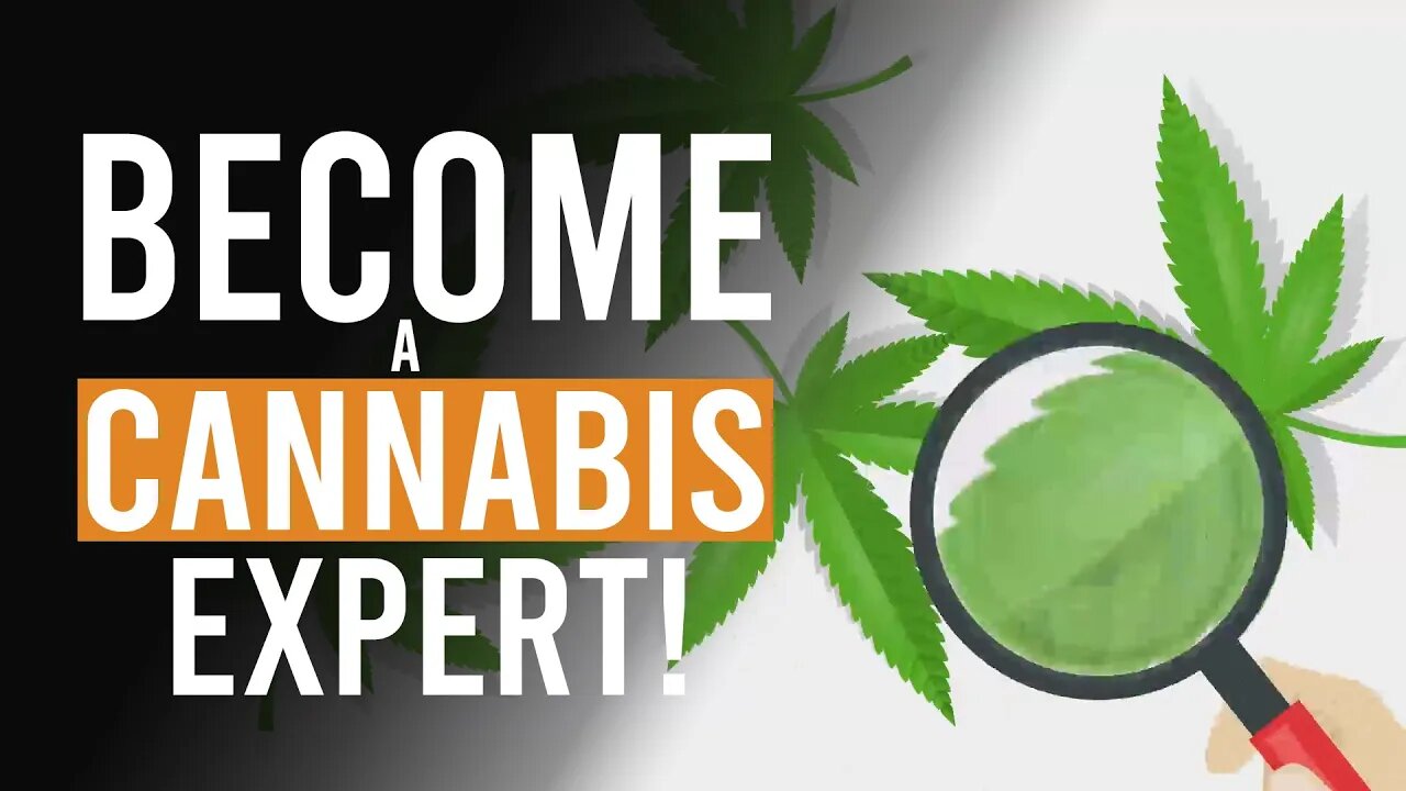 Become a Cannabis Expert - Channel Trailer