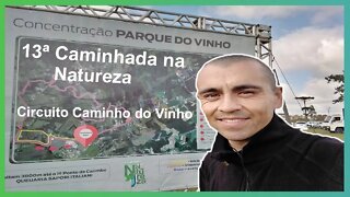 SE DIVERTINDO NO CAMINHO DO VINHO, SEM BEBER!