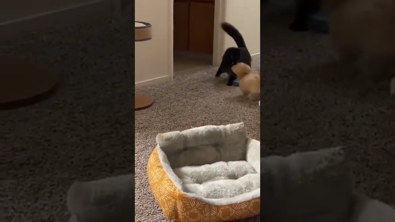 Okay, That’ll Be Enough